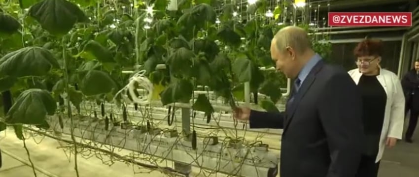 Путин впервые прилетел на Чукотку