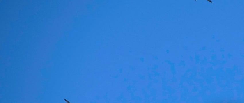 Военные учения Китая с участием авиации и нескольких судов в районе Тайваня завершены