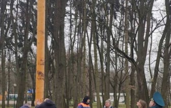 В Бресте новый масленичный столб прошел испытание на прочность и устойчивость.