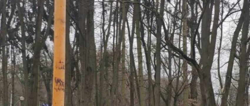 В Бресте новый масленичный столб прошел испытание на прочность и устойчивость.