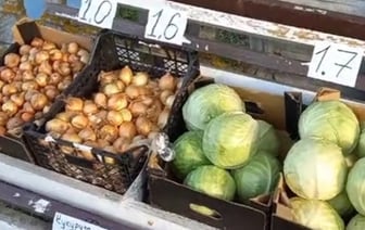 В Брестской области открылся необычный магазин самообслуживания – он уже покорил TikTok