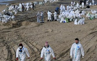 Критической Кремль назвал ситуацию в Черном море из-за разлива мазута
