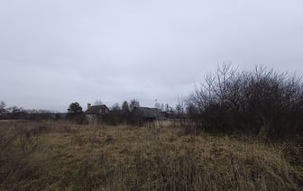 Под Барановичами нашли тело женщины со следами укусов животных