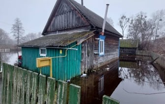 Подтопления подворий фиксируются в Лунинецком районе. Фотофакт
