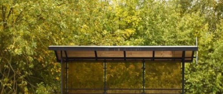 «Заботливый» отец: на остановке брестчанин обнаружил куртку и забрал ее для дочери