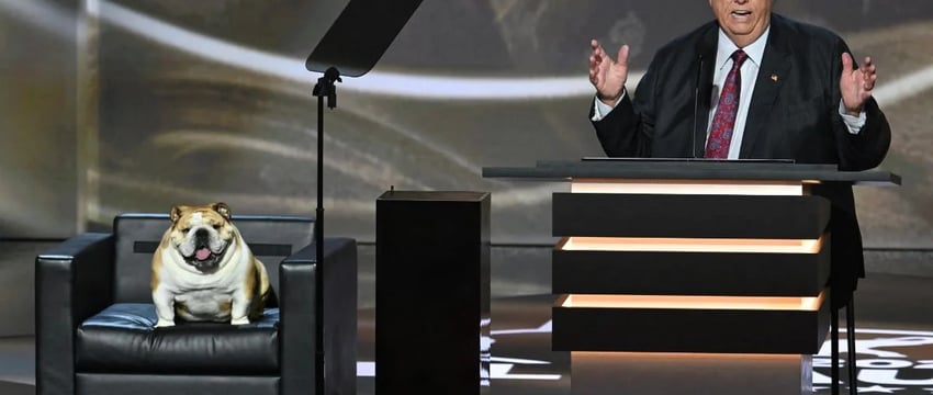 Опросы общественного мнения в США: "Babydog" привлекает внимание на Национальном съезде Республиканской партии