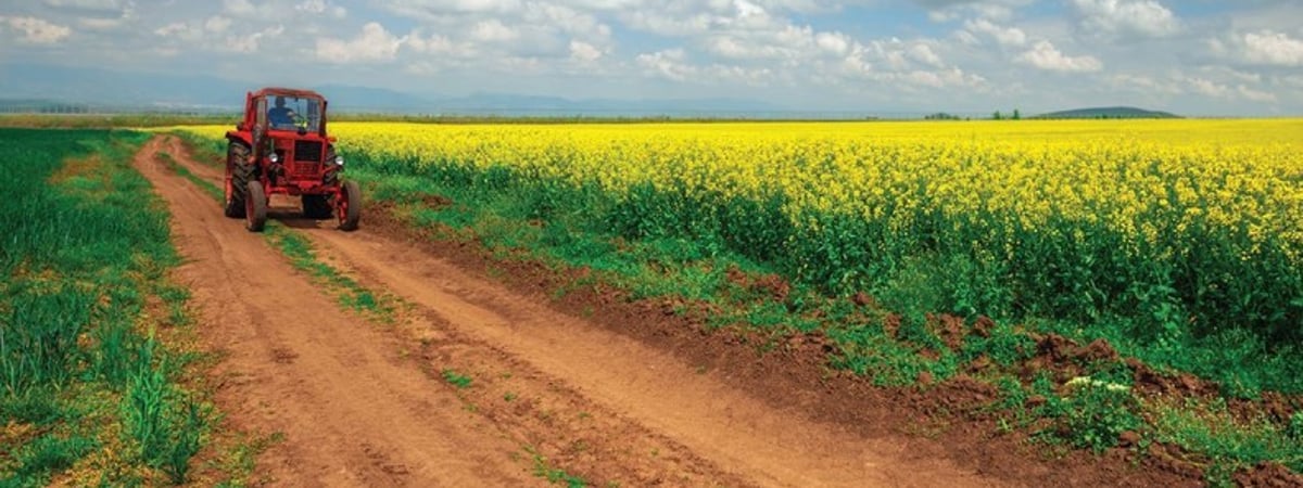 Белоруска искала тишину и свободу и нашла ее на ферме в Литве: история Анжелики Кедар