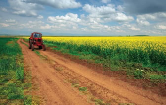 Белоруска искала тишину и свободу и нашла ее на ферме в Литве: история Анжелики Кедар