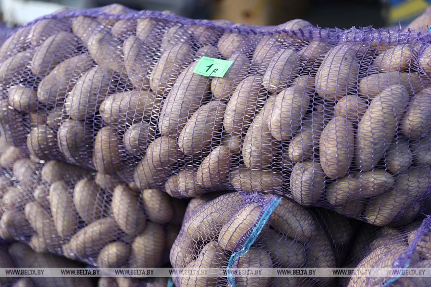 В Бресте стартовали осенние ярмарки - фоторепортаж