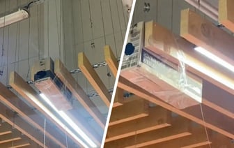 «Сопли висят на всю витрину» — Могилевчанка пожаловалась на «ловушки с клеем» в магазине. Что за «гадость»? — Видео