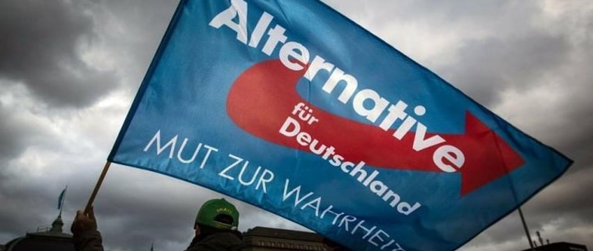 ФРГ может выйти из ЕС при приходе к власти партии «Альтернатива для Германии»