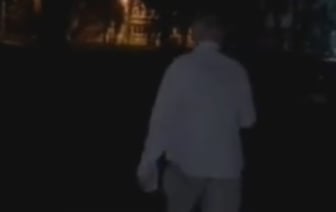 «Зачем его бить об деревья?» Белоруса подозревают в убийстве котенка