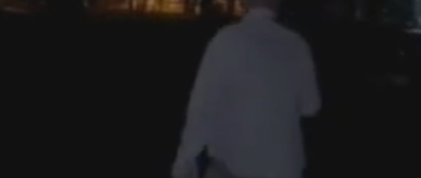 «Зачем его бить об деревья?» Белоруса подозревают в убийстве котенка