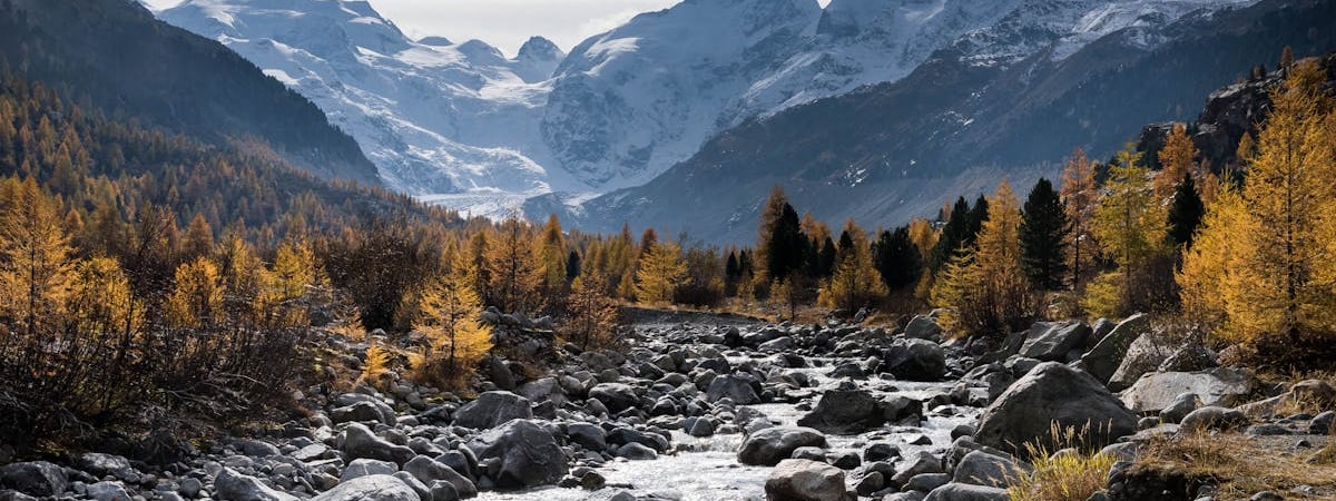 5 лучших способов высушить грибы — от 30 минут до нескольких дней — Полезно