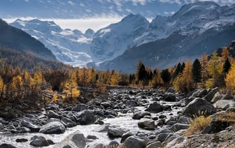 5 лучших способов высушить грибы — от 30 минут до нескольких дней — Полезно