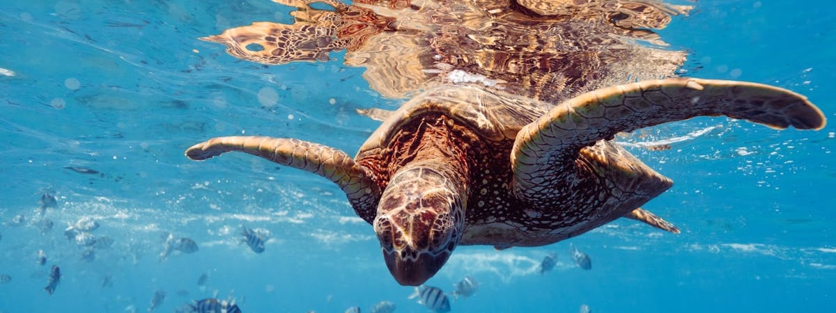 Между Финляндией и Швецией поврежден кабель связи