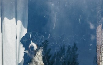 Никогда не оставляйте окна приоткрытыми. Как у минчан «выдувало» все деньги и украшения из квартир