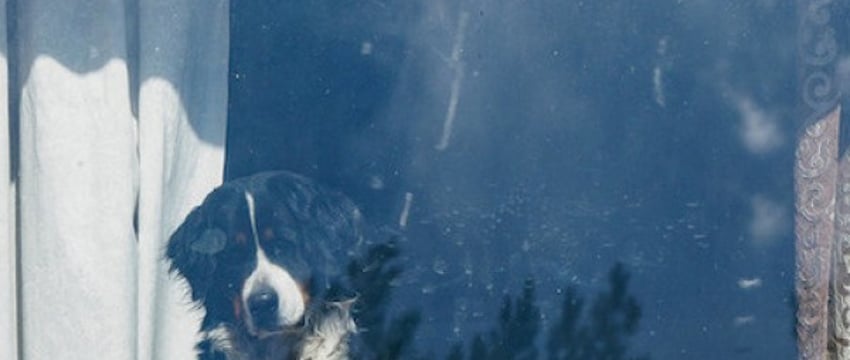 Никогда не оставляйте окна приоткрытыми. Как у минчан «выдувало» все деньги и украшения из квартир