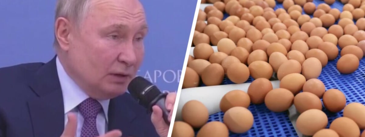«Доходы чуть-чуть у людей выросли» — Путин объяснил рост цен на яйца в РФ