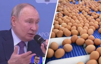 «Доходы чуть-чуть у людей выросли» — Путин объяснил рост цен на яйца в РФ