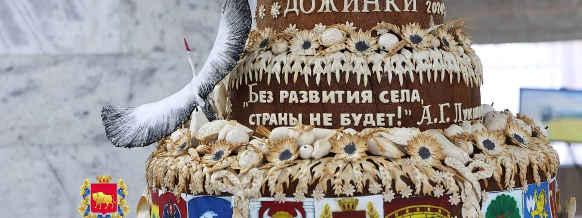 Стало известно, какой город примет следующие областные «Дожинки»