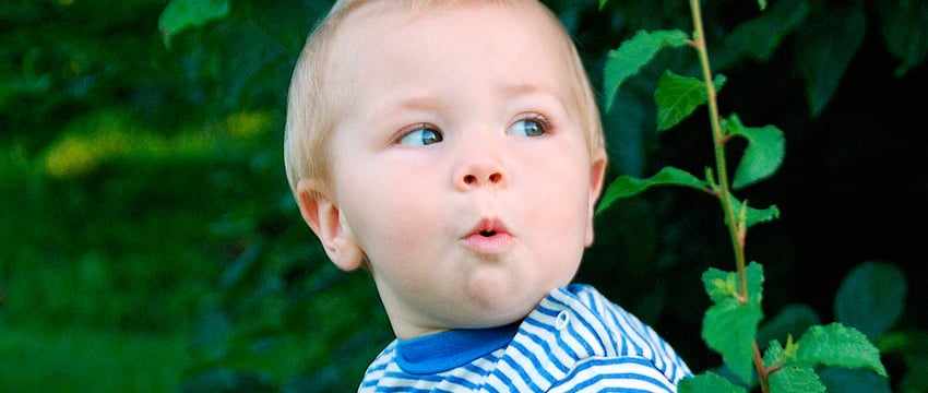 В Березинском заповеднике появится замок для детей. Цена вопроса?