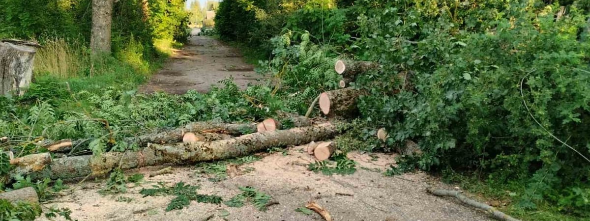 Остались без света и крыш — последствия грозового фронта в Гродненской области