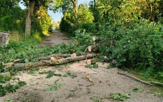 Остались без света и крыш — последствия грозового фронта в Гродненской области
