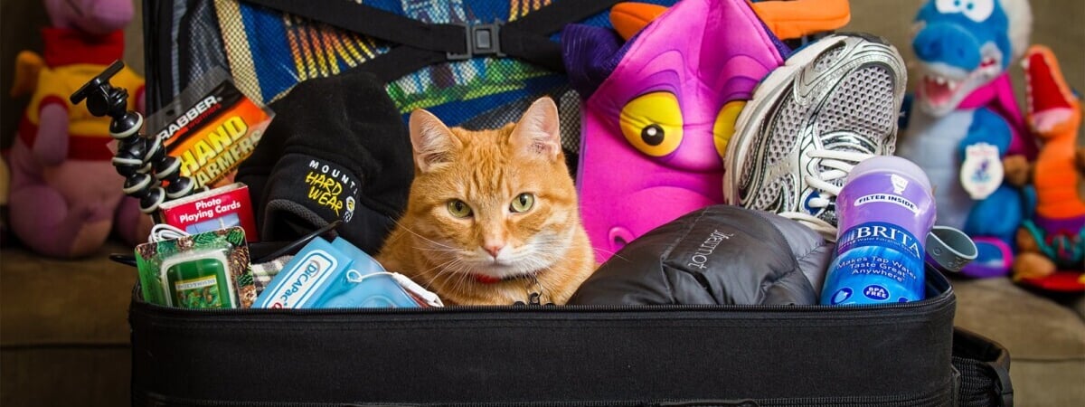 Совмин Беларуси установил некоторым работникам дополнительный отпуск. Когда положен 1 день, а когда — все 14?