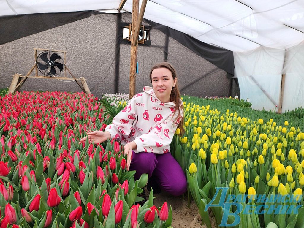 Семья из Дрогичина поделилась секретами выращивания тюльпанов