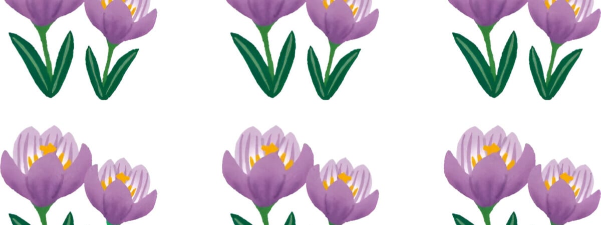 Лишь самые въедливые найдут эту деталь. Чем отличается одна из картинок?