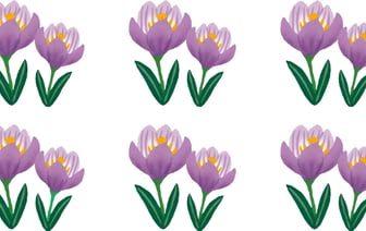 Лишь самые въедливые найдут эту деталь. Чем отличается одна из картинок?