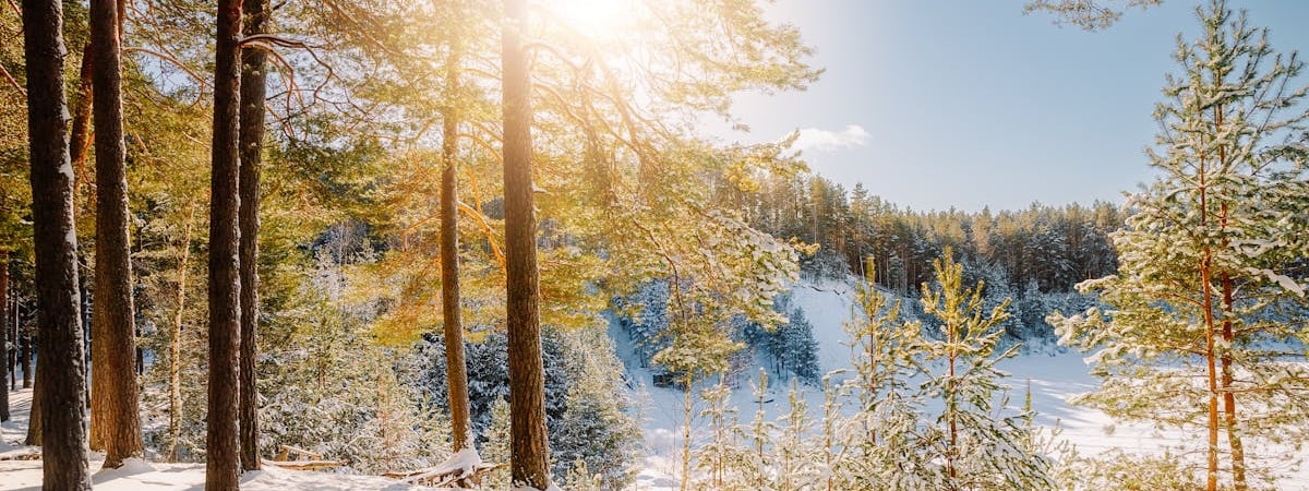 Финляндия предоставит €4,5 млн для поддержки Украины