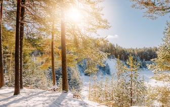 Финляндия предоставит €4,5 млн для поддержки Украины