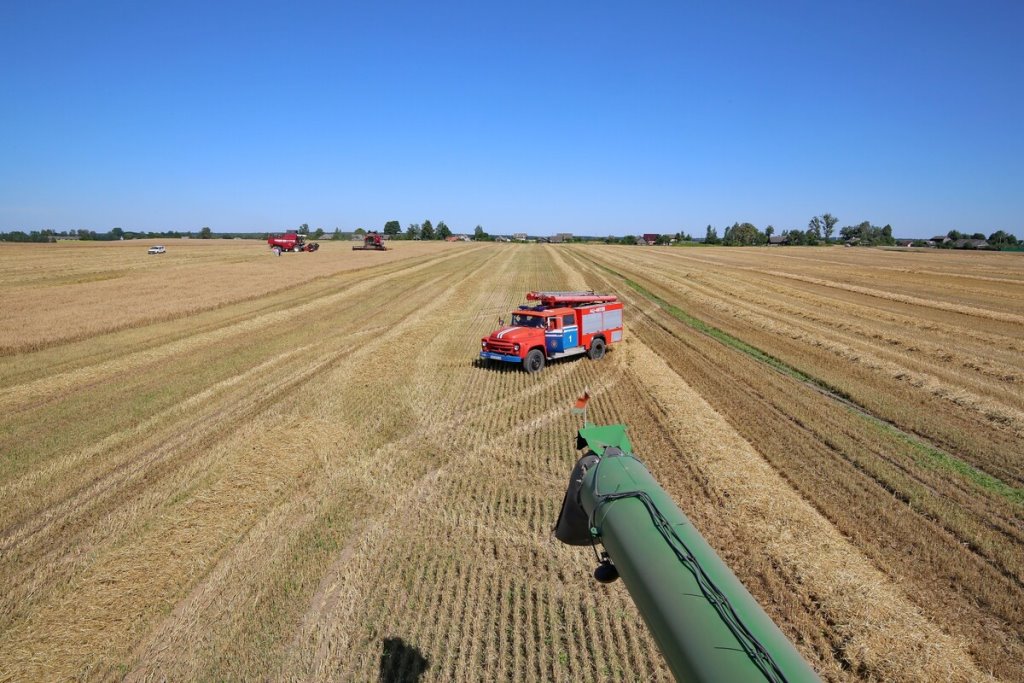 Фото носият иллюстративный характер / 