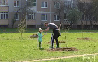 В Беларуси стартовала акция по благоустройству и наведению порядка на земле