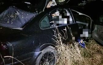 Ребенок погиб в аварии с лосем