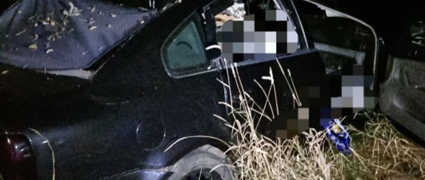 Ребенок погиб в аварии с лосем