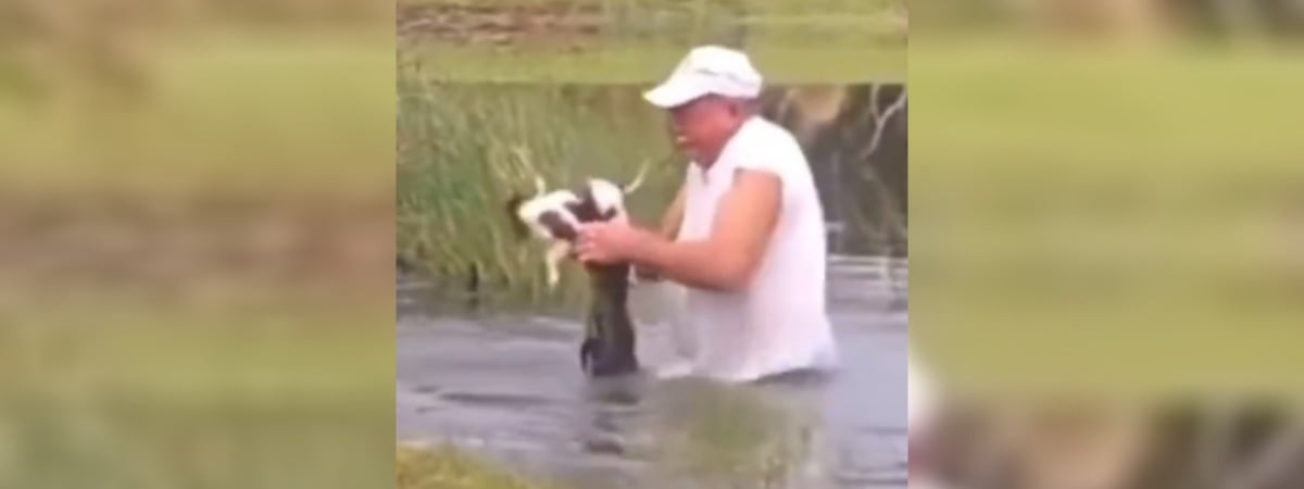 «Даже не бросил сигарету» — Мужчина спас собаку из пасти аллигатора — Видео