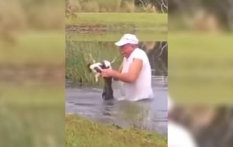 «Даже не бросил сигарету» — Мужчина спас собаку из пасти аллигатора — Видео