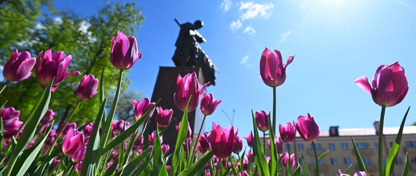 Изменения в движении транспорта в Гомеле 8 и 9 мая