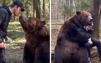 Необычное видео: Белорусский хоккеист объятиями с медведем