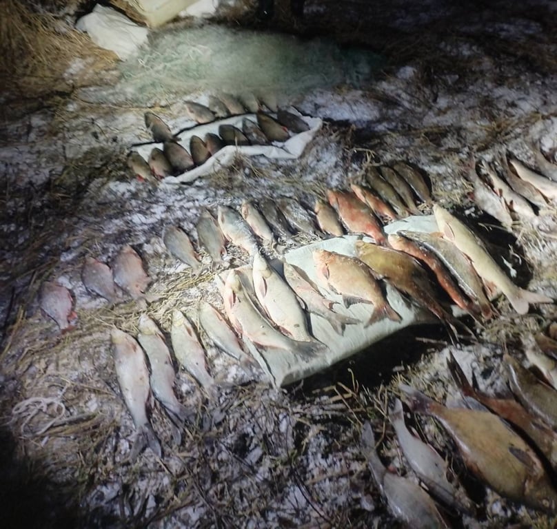 Почти на 10 000 долларов оценен улов браконьеров в Оршанском районе