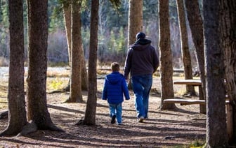 Ограничения на посещение лесов отменяют по всей Беларуси