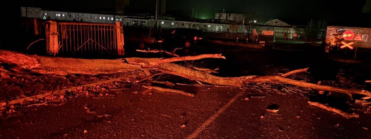 Повреждены авто и крыши домов — ветер натворил беды в Беларуси