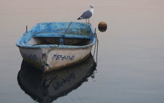 Плавать на лодках по ряду рек и озер запретили в Россонском районе. На какой срок действует запрет?