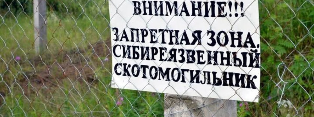 Паводки вскрыли 14 могильников сибирской язвы на западе Казахстана