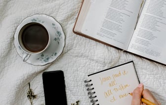 В Чехии бобры сэкономили стране более $1 млн