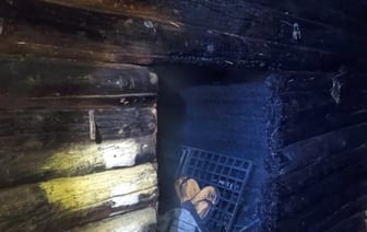 Собаки спасли хозяев от гибели на пожаре в Быховском районе