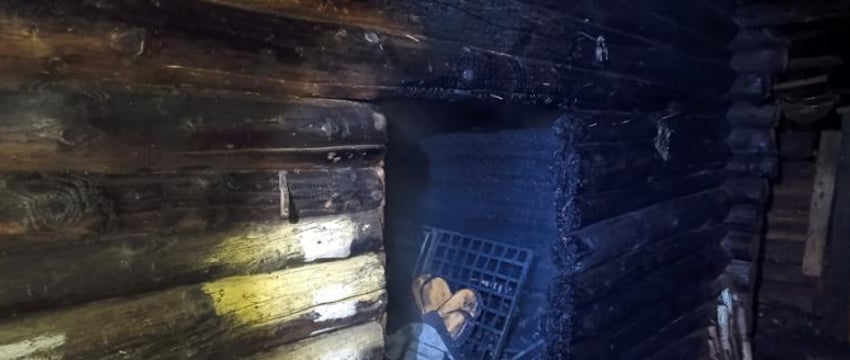 Собаки спасли хозяев от гибели на пожаре в Быховском районе